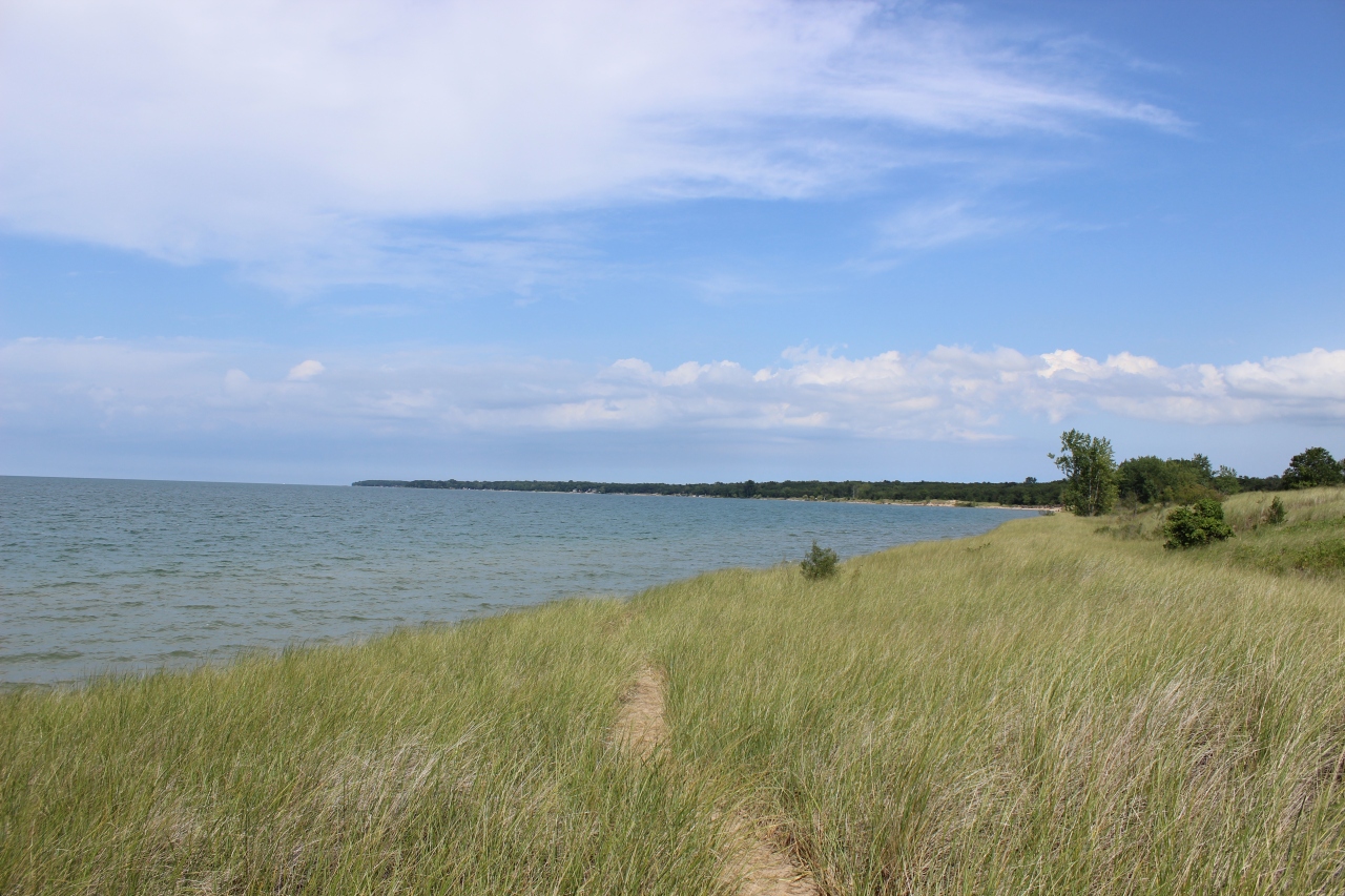 Top 5 Michigan Beaches of 2020